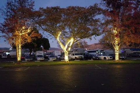 Castaic Lake RV Park