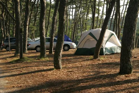 Maurices Campground
