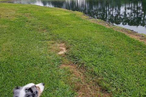 Amelia Family Campground