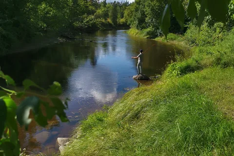 Whitemouth River Park and Campground