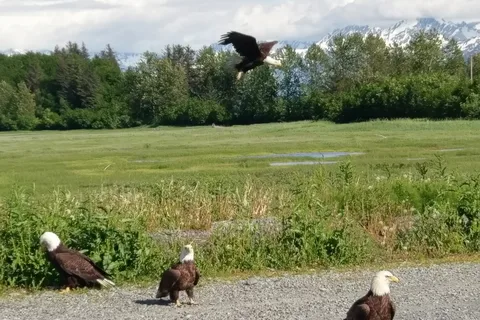 Eagles Rest RV Park