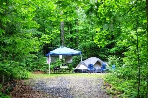 Black Forest Family Camping Resort