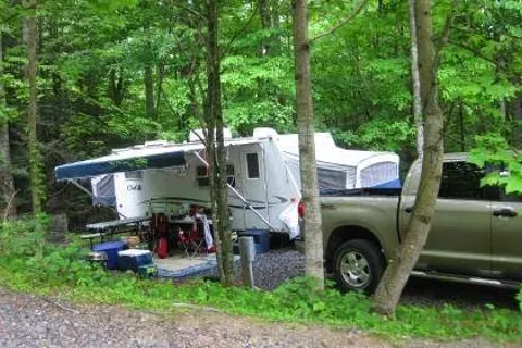 Black Forest Family Camping Resort