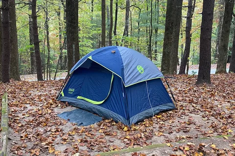 Black Forest Family Camping Resort