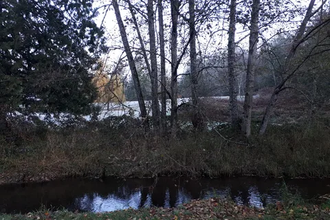Hazelmere RV Park and Campground