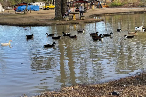 Kamper's Lodge Campground