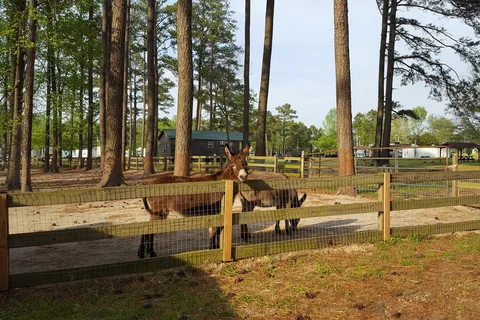 Kamper's Lodge Campground