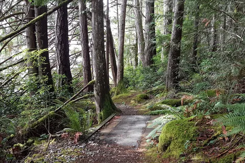 Mermaid Cove, Saltery Bay Provincial Park
