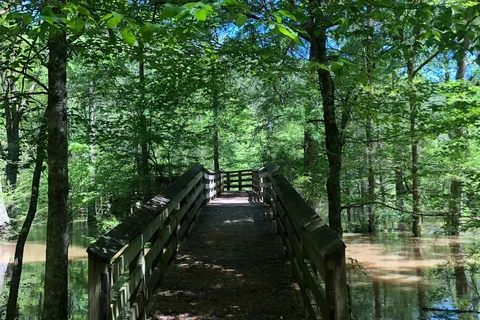 Burnside Lake Park