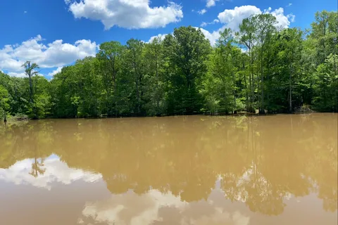 Burnside Lake Park