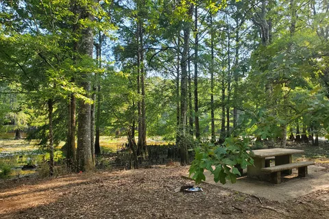 Burnside Lake Park