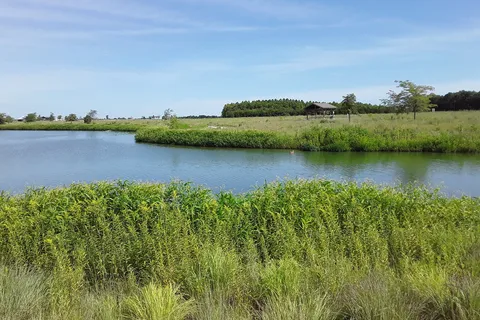 Lake Wanahoo State Recreation Area