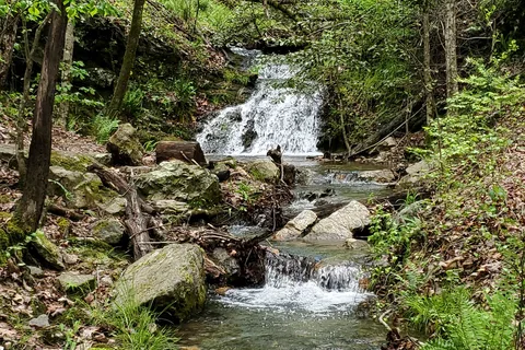 Lake Catherine State Park