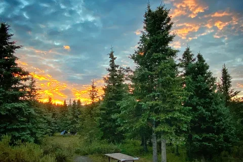 Teklanika River Campground - Denali National Park
