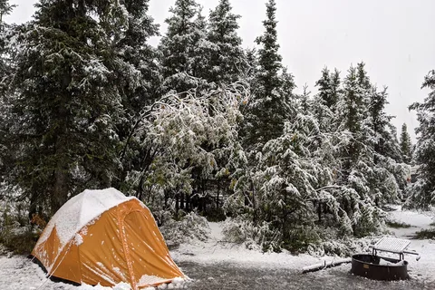 Teklanika River Campground - Denali National Park
