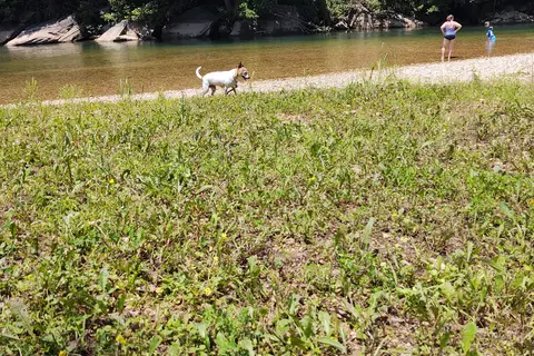 Anglers White River Resort