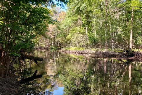 Sleepy Hollow RV Park 2