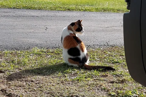 Sleepy Hollow RV Park 2