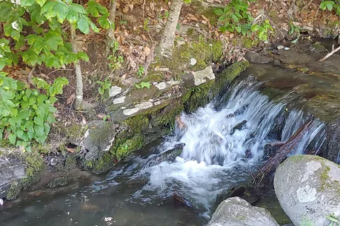 Blue Rocks Family Campground
