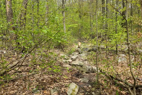 Blue Rocks Family Campground