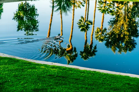 Emerald Desert RV Resort