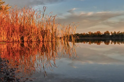 Main - Farm Island State Recreation Area
