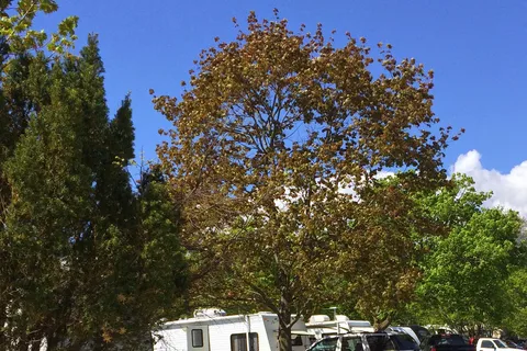 Granite Hill Campground