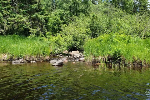 Kearney Lake - Algonquin Provincial Park