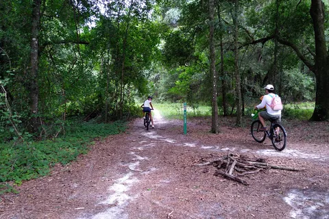 Cross Florida Greenway - Santos