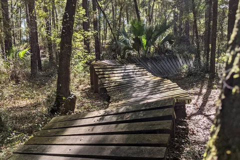 Cross Florida Greenway - Santos