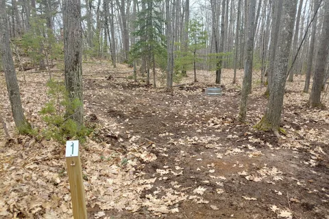Forestville Campground