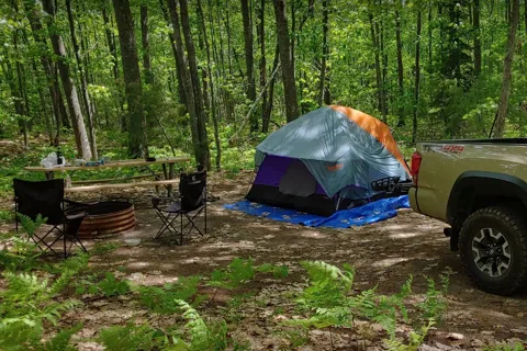 Forestville Campground