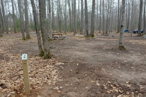 Forestville Campground