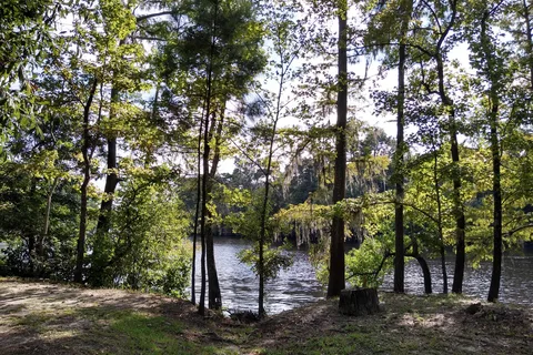 Sam Houston Jones State Park