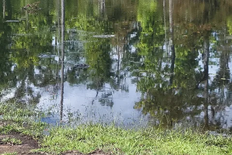 Sam Houston Jones State Park