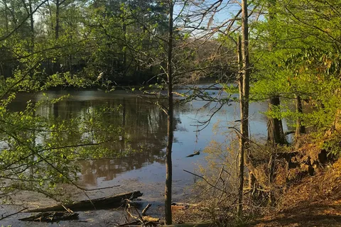 Sam Houston Jones State Park