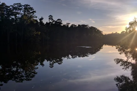 Sam Houston Jones State Park