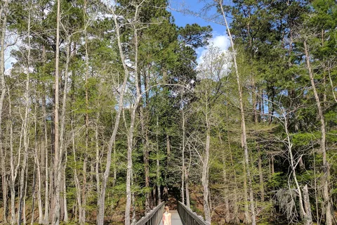 Sam Houston Jones State Park