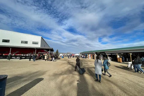 Millarville Campground