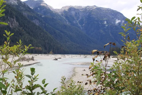 Rainey Creek Municipal Campground