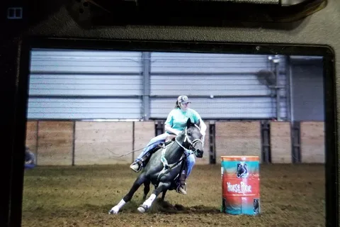Mississippi Horse Park