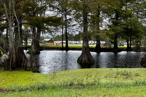Bayou Wilderness RV Campground