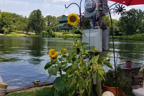 Willis RV Park and Storage