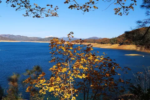 Fawndale Oaks RV Park
