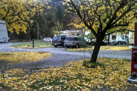 Fawndale Oaks RV Park