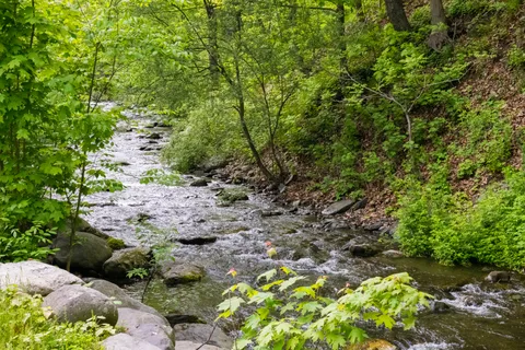 River Beach Campsites on the Delaware-Kittatinny Canoes