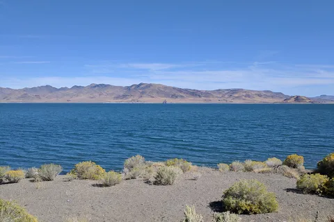 Pyramid Lake Marina RV Park