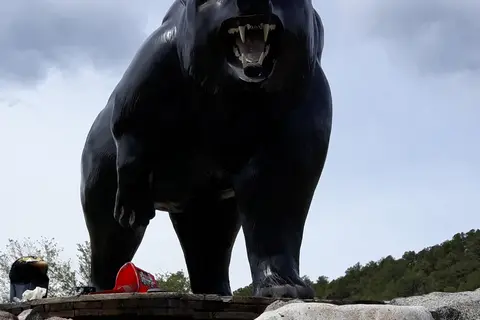 Black Bear RV Park , Campground and Boutique Motel