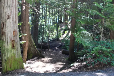 Champion Lakes Provincial Park