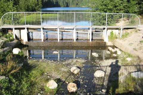 Champion Lakes Provincial Park